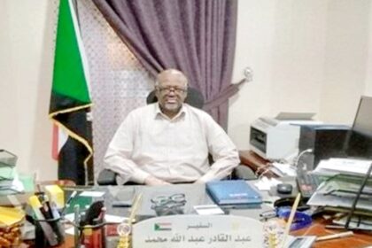 أزمةٌ كبيرةٌ وسط الجالية السودانية والقنصلية في أسوان.. ومطالبات بتعيين قنصل جديد